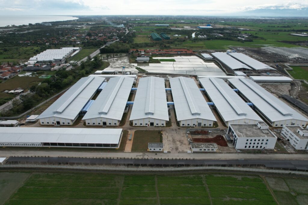 WhatsApp Image 2026-02-18 at 11.29.55 (1)