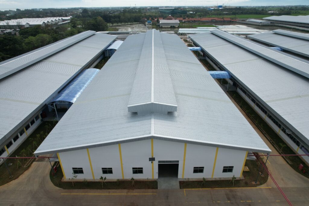 WhatsApp Image 2026-02-18 at 11.30.01