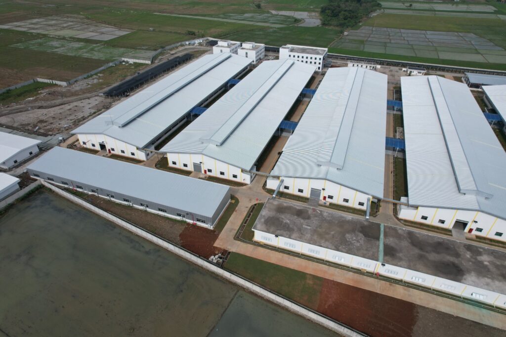 WhatsApp Image 2026-02-18 at 11.30.04 (1)